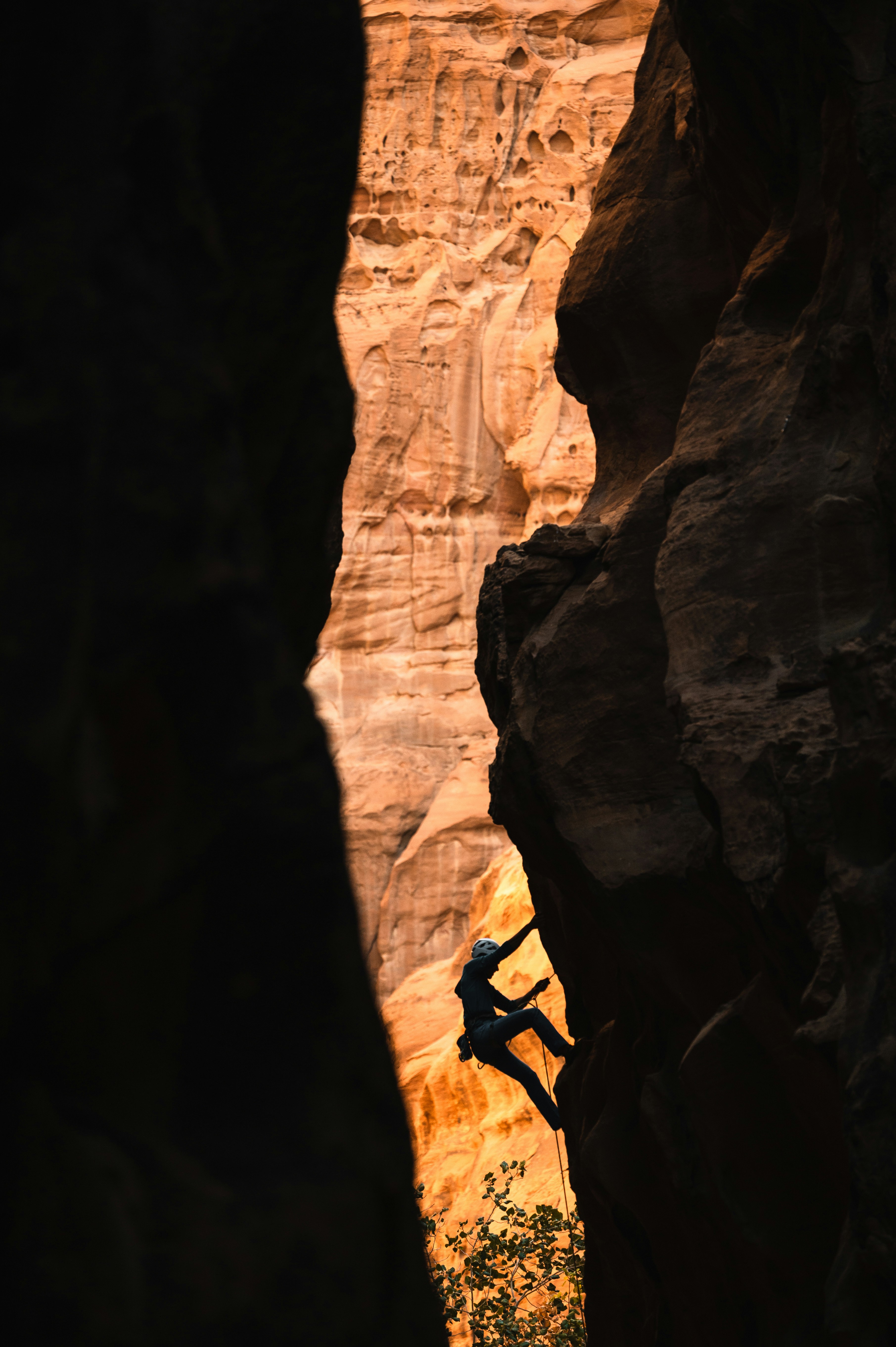 Week 26 of 2026: The Gift of Perseverance