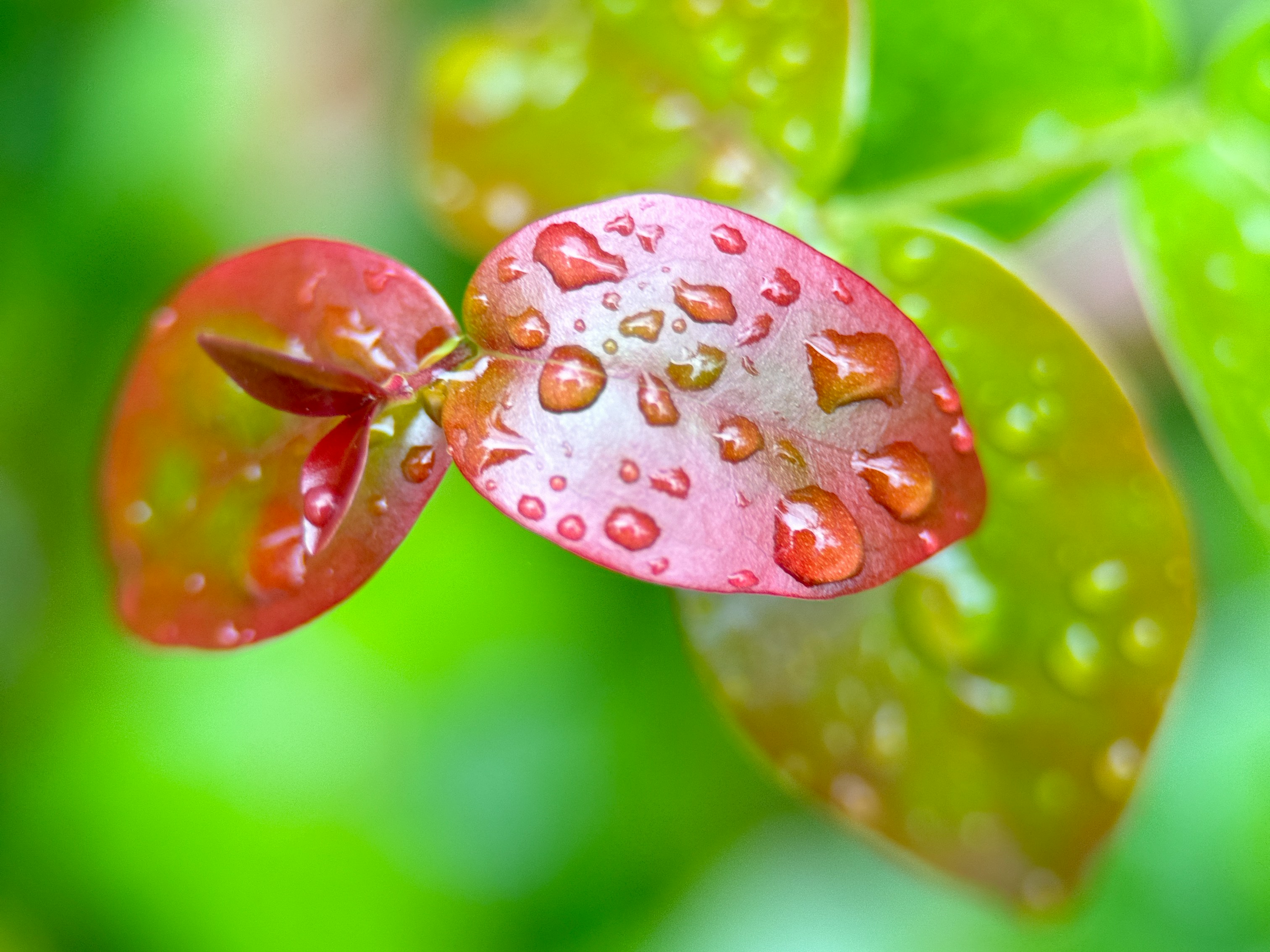 Week 33 of 2026: Trusting God in Transitions